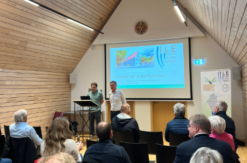 Apfelblüte im Vinschgau